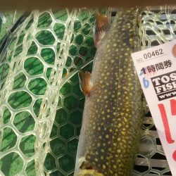 としまえんフィッシングエリア