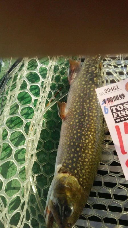 としまえんフィッシングエリア