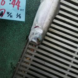 としまえん　色物狙い