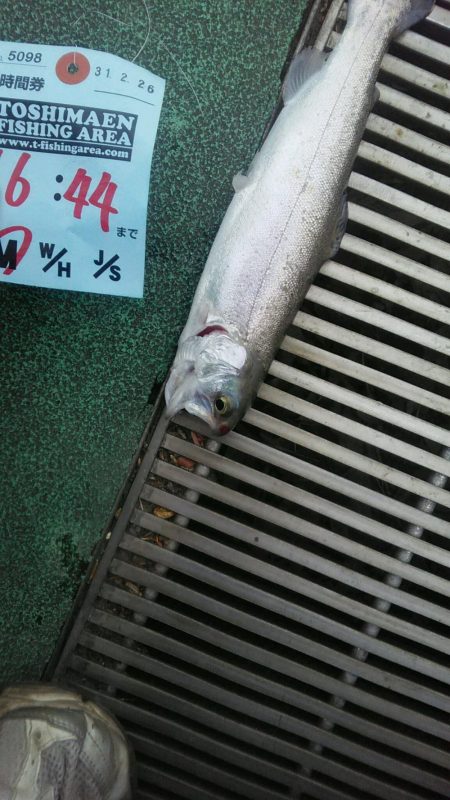 としまえん　色物狙い