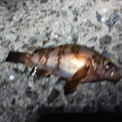 苦戦ライトゲーム