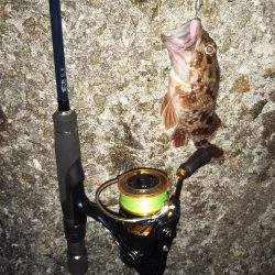 春はまだ告げられず・・・