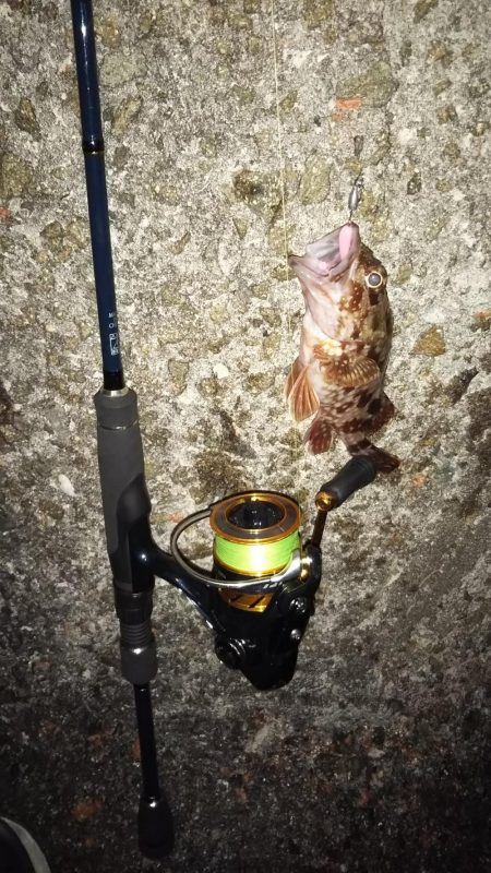 春はまだ告げられず・・・