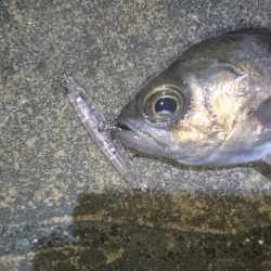 仕事帰りに少しだけ