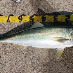 ショアジギング