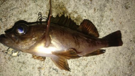 いつもの場所で