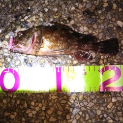 風が弱いので神戸空港へ