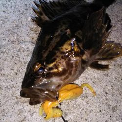 近所へ軽ーく❗️