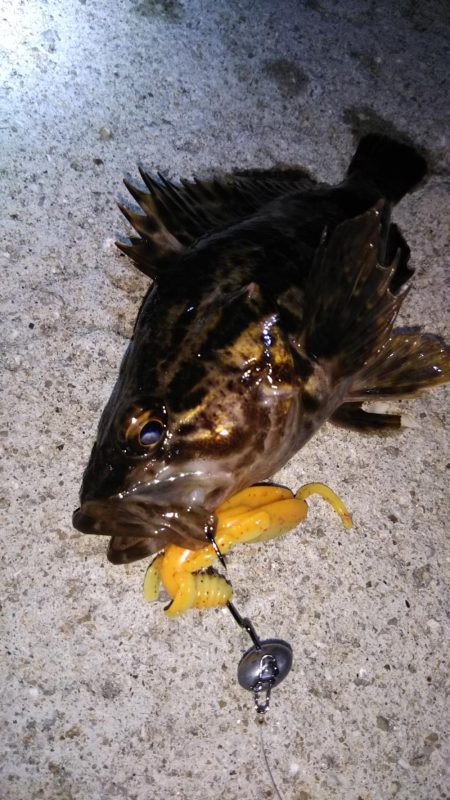 近所へ軽ーく❗️