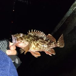 まだまだ寒いな