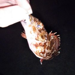 根魚自己記録更新！