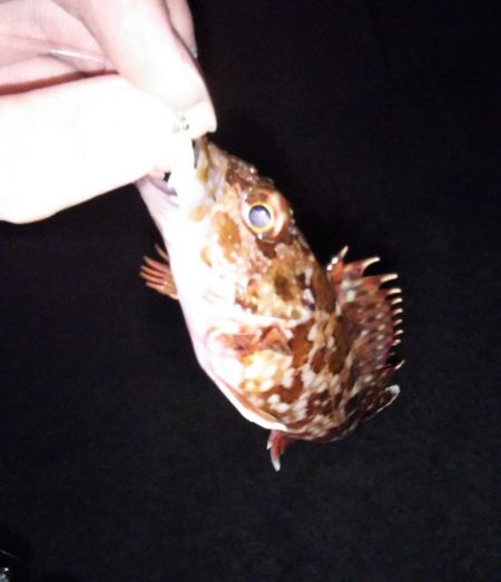 根魚自己記録更新！