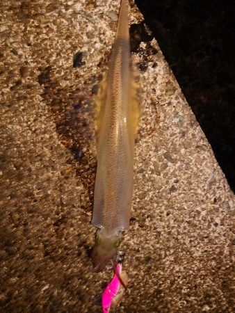 ウネリの中良型揃い