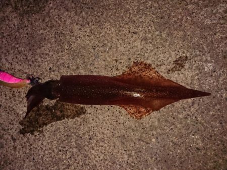 好状況ながら渋い