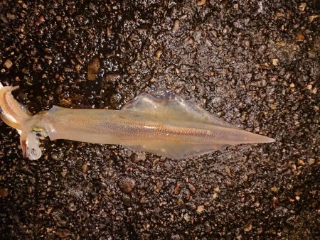 厳しくなりました