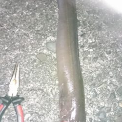 諦めかけたその時!4