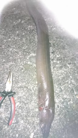 諦めかけたその時!4