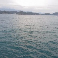 ウツボでドツボ