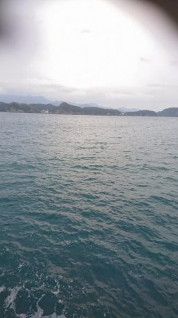 ウツボでドツボ