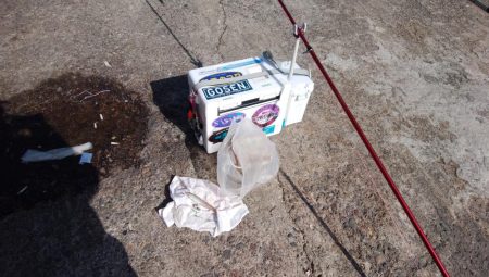 播磨新島でキス釣り