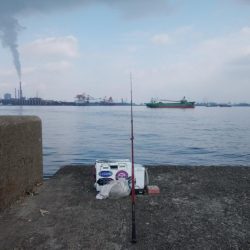 播磨新島で良型キスが釣れました