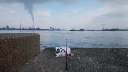 播磨新島で良型キスが釣れました