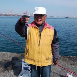 今朝も播磨新島へキス釣査