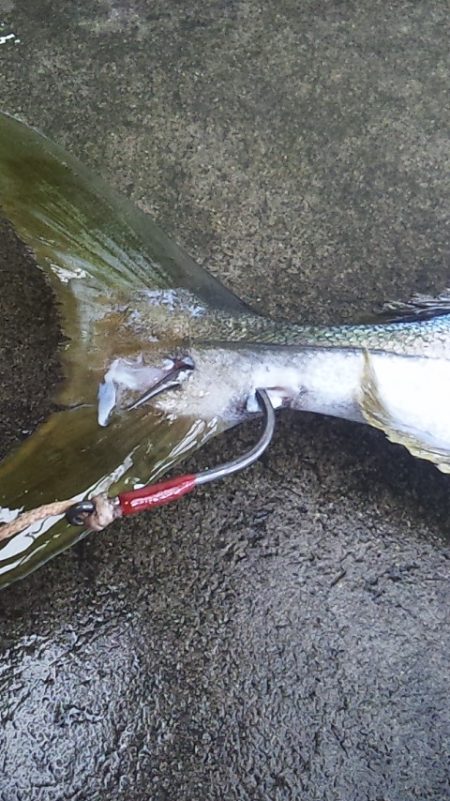 まだまだ渋さ継続中