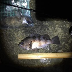 今宵もプラグ縛りメバリング