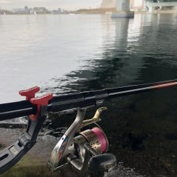 チーバスからのハネ