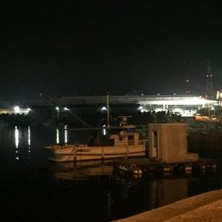 出張先の楽しみ①