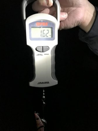 待望ののキロアップ！