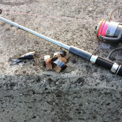 堤防での五目釣り挑戦