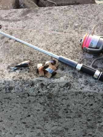 堤防での五目釣り挑戦