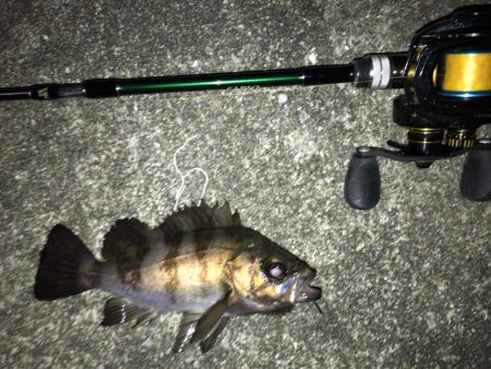 週末メバリング