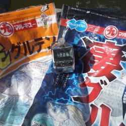 両グルテン　バランス底釣り　