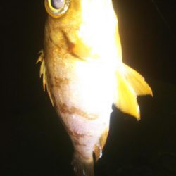 いつもと違う場所で…