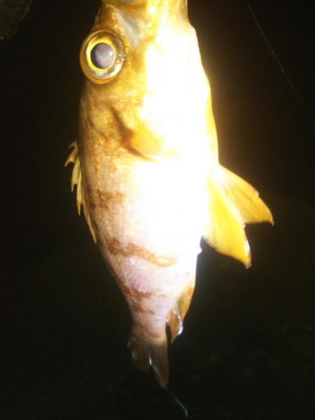 いつもと違う場所で…