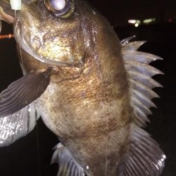 メバリングラビングバズ