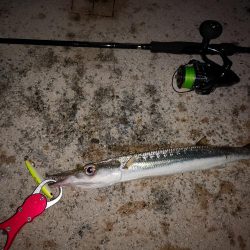 ルアーが変わっても釣れるのは同じ