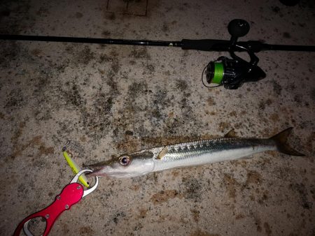 ルアーが変わっても釣れるのは同じ