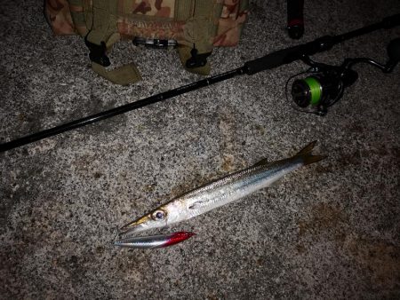 ルアー変われど釣れるのは同じオオメカマス