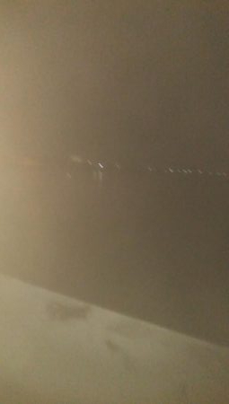 にゃんこの日にヤリイカ3杯とスルメ1杯!!