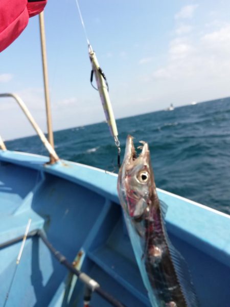 洲本沖でタチウオジギング