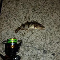 北西風を避けて