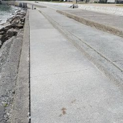 ヒラメゲット！