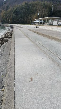 ヒラメゲット！