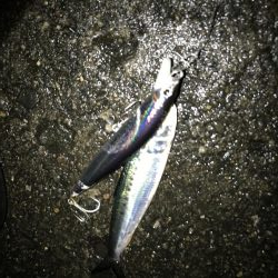 イワシがデカイ