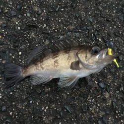 ビックリした！ぞ