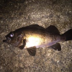 遠征！えんせい！ENSEI!!